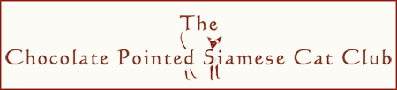 The Chocolate Pointed Siamese Cat Club