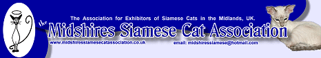 Midshires Siamese Cat Association