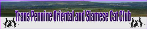 Trans-Pennine Siamese and Oriental Cat Club